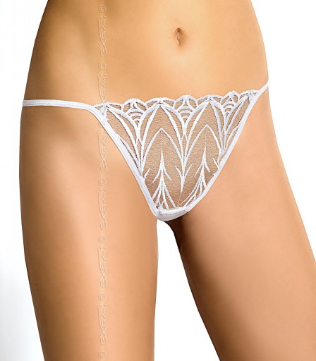 AXAMI V-5168  stringi