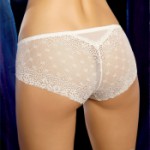 AXAMI V-1543 panties