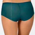AXAMI V-6193 panties