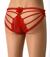 AXAMI V-7243 panties